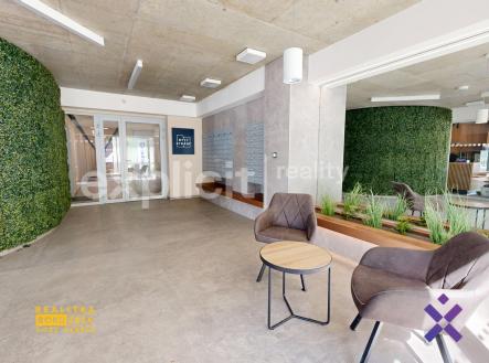 Pronajem-bytu-1kk-335-m2-ul-Nad-Stranemi-08282025_142317 | Pronájem bytu, 1+kk, 34 m²