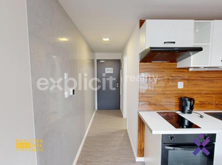 Byt-1kk-loft-218-10282024_200300 | Pronájem bytu, 1+kk, 35 m²