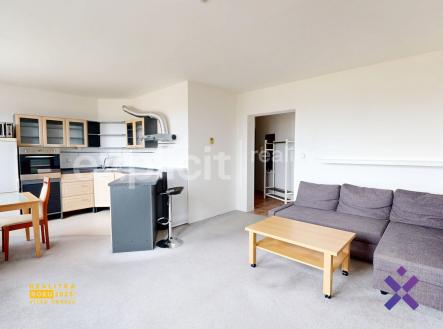 Pronajem-bytu-2kk-Podlesi-Zlin--Katerina-Sulcova-Pronajem-bytu-2kk-Zlin-Podlesi-5 | Pronájem bytu, 2+kk, 54 m²