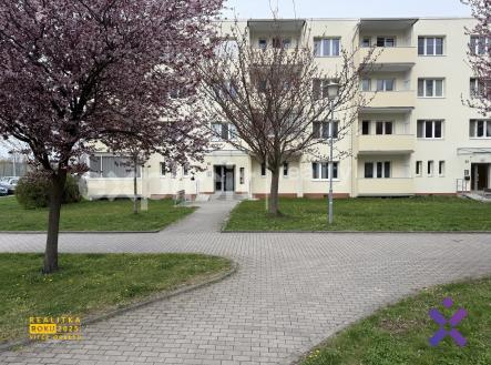 IMG_5725 | Pronájem bytu, 2+1, 50 m²