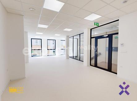 Alice Nováková Explicit Reality2 | Pronájem - kanceláře, 108 m²