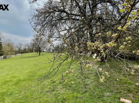 foto-pozemem1.jpeg | Prodej - pozemek pro bydlení, 2 948 m²