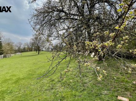 foto-pozemem1.jpeg | Prodej - pozemek pro bydlení, 2 948 m²