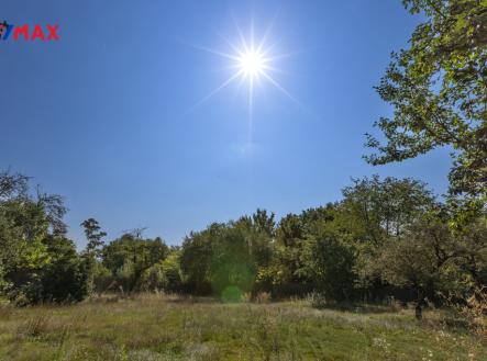 realitni-fotografie-praha-botanicka-zahrada-daniel-cerv-17.jpg | Prodej - pozemek, zahrada, 759 m²