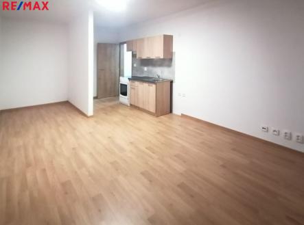 Prodej bytu, 1+kk, 36 m²