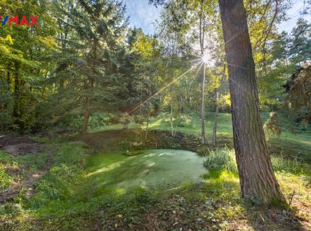 realitni-fotografie-praha-barrandov-daniel-cerv-19.jpg | Prodej - pozemek, les, 17 570 m²