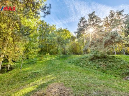 rsz-realitnpctc3pctad-fototgrafie-praha-barrandov-daniel-pctc4pct8cerv-v2-18-2.jpg | Prodej - pozemek, les, 17 570 m²