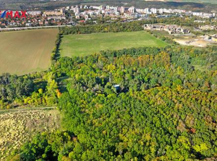 rsz-realitnpctc3pctad-fototgrafie-praha-barrandov-daniel-pctc4pct8cerv-v2-72.jpg | Prodej - pozemek, les, 17 570 m²