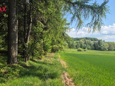 04.jpg | Prodej - pozemek pro bydlení, 5 776 m²