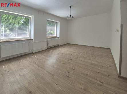 Pronájem bytu, 1+1, 47 m² obrázek