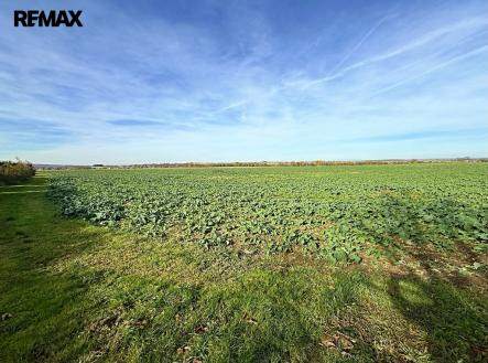 img-6351.jpg | Prodej - pozemek pro bydlení, 4 084 m²