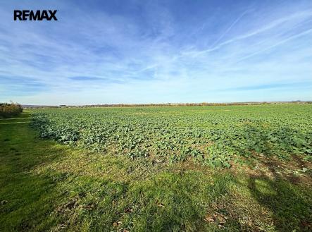 img-6351.jpg | Prodej - pozemek pro bydlení, 4 084 m²