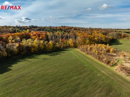 Bořanovický les | Prodej - dům/vila, 177 m²