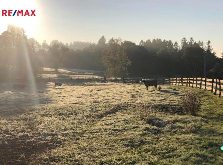 photo-2025-09-24-16-27-45.jpg | Prodej - pozemek, ostatní, 172 102 m²