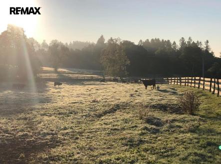 photo-2025-09-24-16-27-45.jpg | Prodej - pozemek, ostatní, 172 102 m²