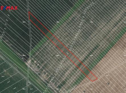 snimek-obrazovky-2026-01-08-v-16.31.44.png | Prodej - pozemek, zemědělská půda, 4 449 m²