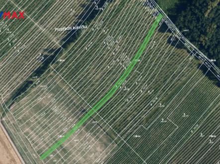 josefov-vinice.png | Prodej - pozemek, ostatní, 1 165 m²