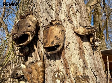 trofejní strom | Prodej - chata/rekreační objekt, 12 m²