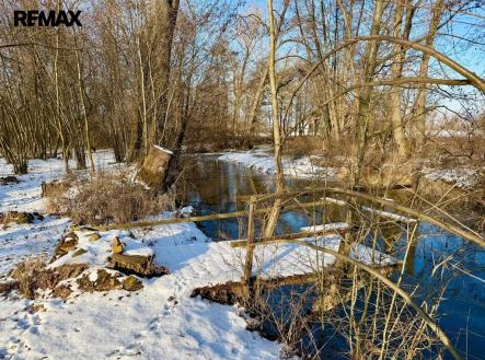 lesní pozemek je hned u řeky Loučné | Prodej - chata/rekreační objekt, 12 m²