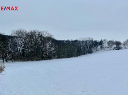Foto pozemku | Prodej - pozemek, zemědělská půda, 3 949 m²