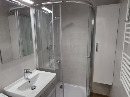 Koupelna se sprchovým koutem | Pronájem bytu, 2+kk, 46 m²