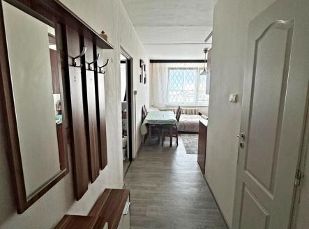 whatsapp-image-2026-06-20-at-16.39.13b.jpeg | Pronájem bytu, 1+1, 42 m²