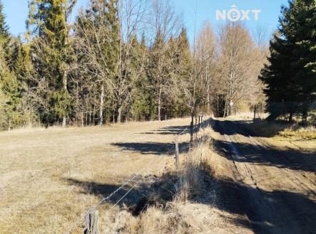 Prodej - pozemek, trvalý travní porost, 2 924 m²