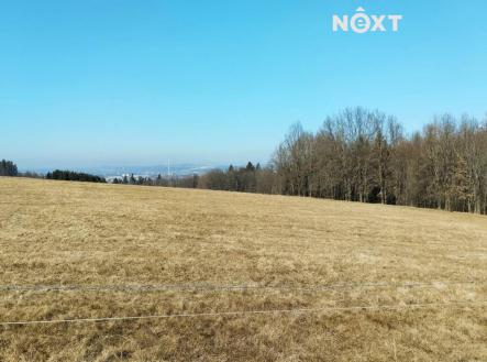 Prodej - pozemek, trvalý travní porost, 2 924 m²