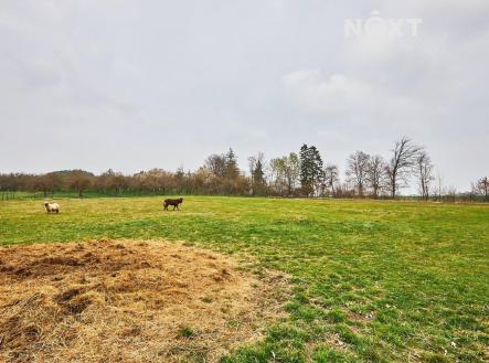Prodej - pozemek pro bydlení, 8 407 m²