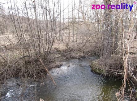 img-2429.jpg | Prodej - pozemek, trvalý travní porost, 7 754 m²