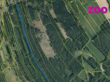 les-1.jpg | Prodej - pozemek, les, 4 056 m²