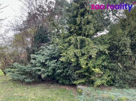 5ccfadb4-f438-4618-bd2e-5faf13070bf3.jpeg | Pronájem - chata/rekreační objekt, 15 m²