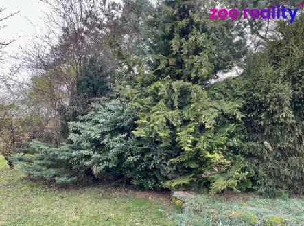 Pronájem - pozemek, zahrada, 2 586 m²