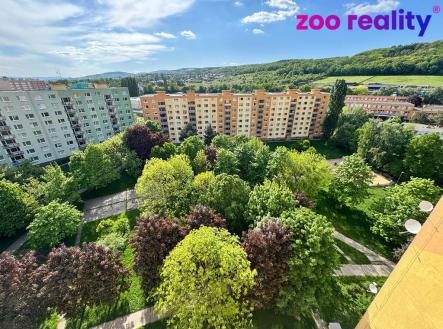 1ebb0b2e-fc54-45d0-b017-da37c7d50f78.jpeg | Prodej bytu, 1+1, 42 m²