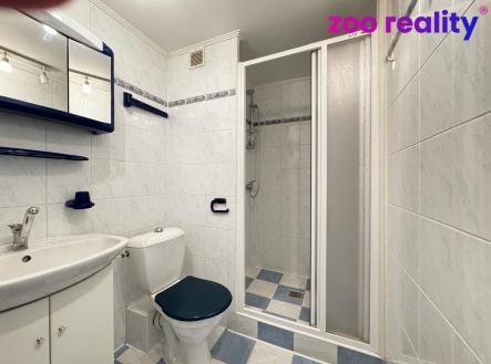 084df150-c73b-49a8-bf17-72b70cfc3fd3.jpeg | Pronájem bytu, 1+1, 35 m²