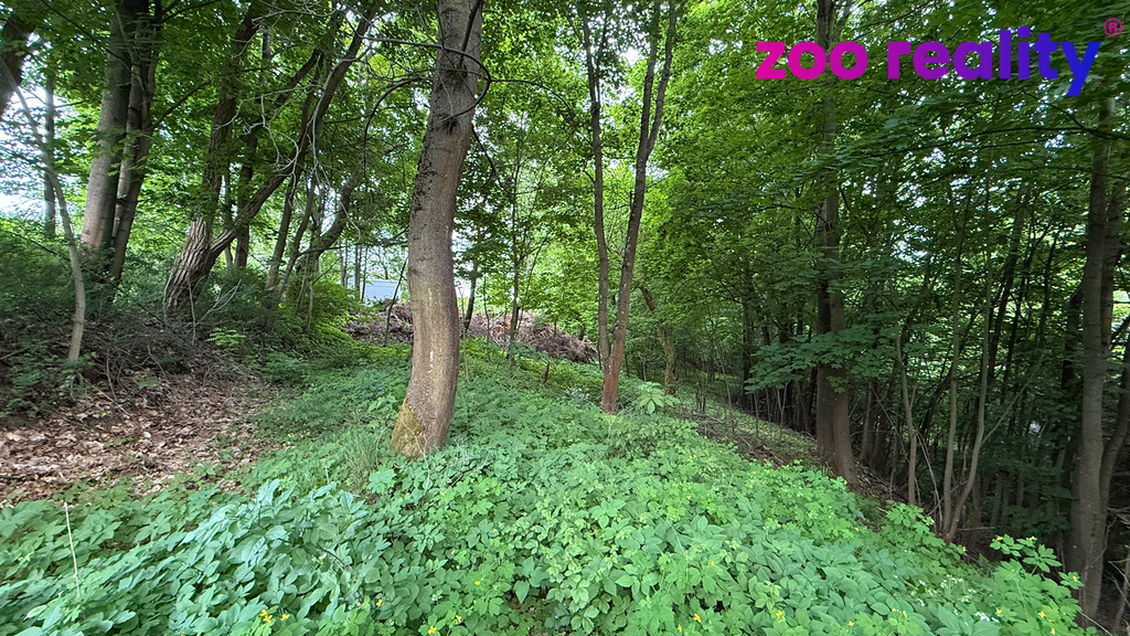 img-0273.jpg