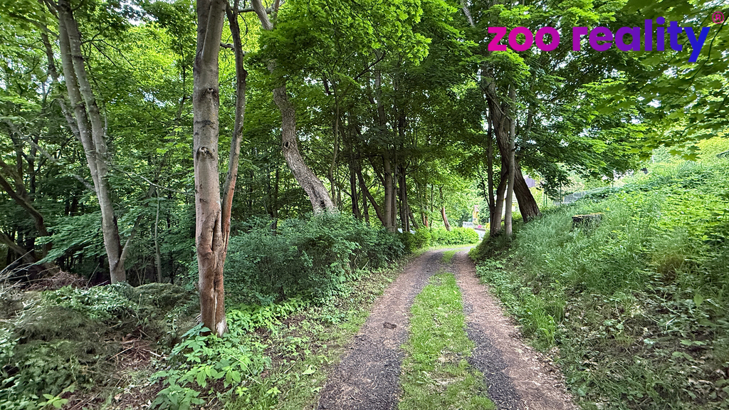 img-0276.jpg