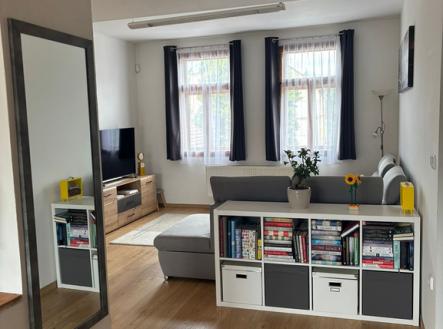 obrazek-whatsapp-2025-06-09-v-14.36.59-17e21c2d.jpg | Pronájem bytu, 1+1, 100 m²