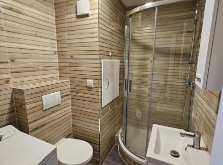 whatsapp-image-2025-07-07-at-22.02.53-1.jpeg | Pronájem bytu, 1+1, 35 m²