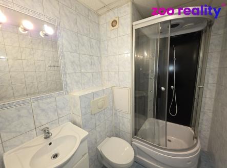 20250930-164920.jpg | Pronájem bytu, 1+1, 35 m²