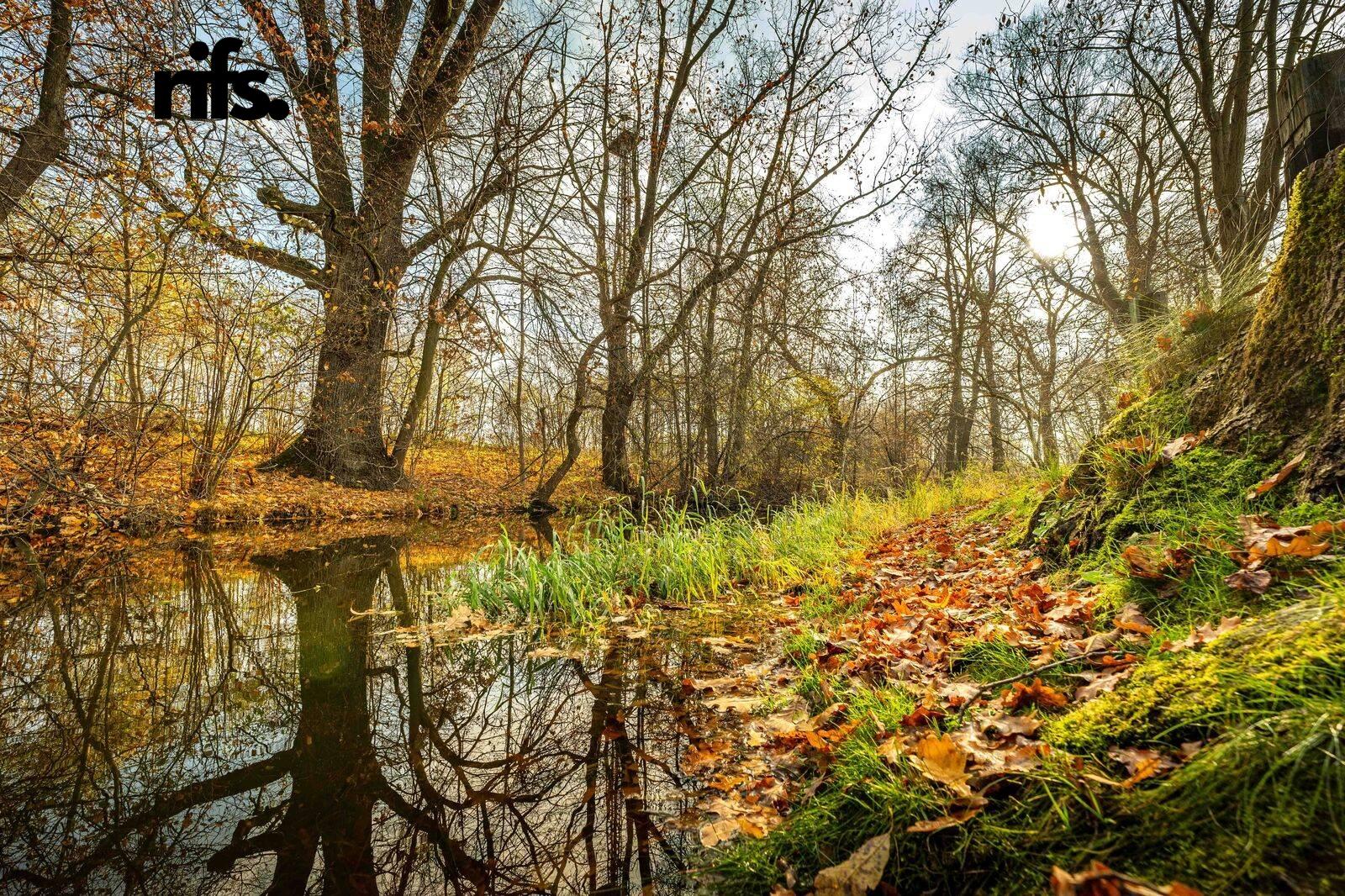 Prodej dům Rodinný, 90㎡|Jihočeský kraj, Jindřichův Hradec, Suchdol nad Lužnicí, Lužnická 161, 37806