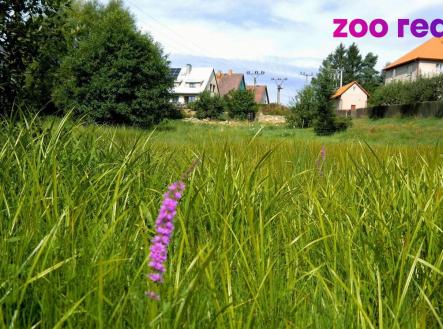 Prodej - pozemek pro bydlení, 2 518 m²