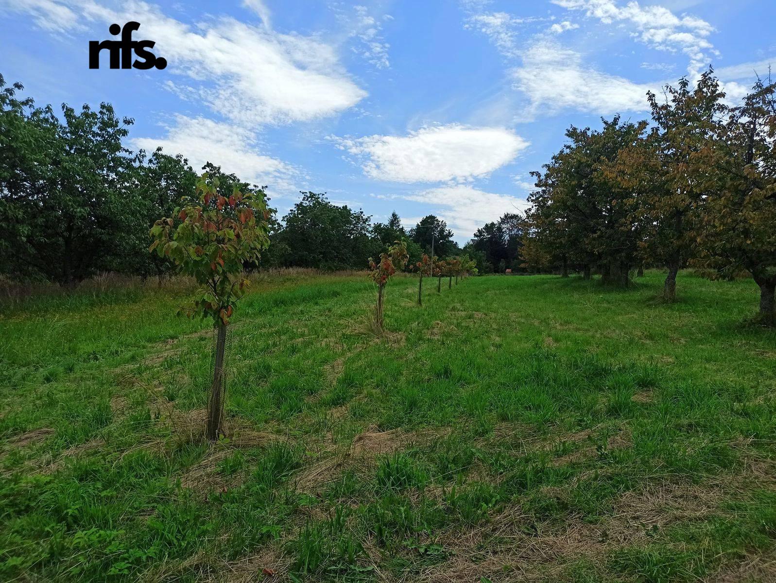 Prodej pozemek Bydlení, 2 668㎡|Prachatice, Jihočeský kraj, Lhenice, 38402