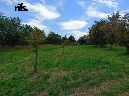 Prodej - pozemek pro bydlení, 2 668 m²