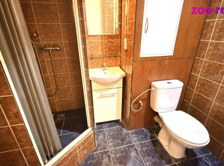 Pronájem bytu, 1+1, 39 m²