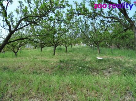 Prodej - dům/vila, 43 m²