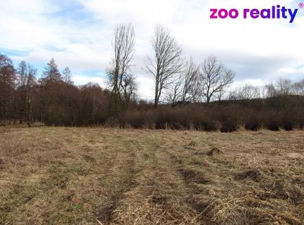 Prodej - pozemek, trvalý travní porost, 11 151 m²