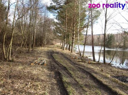 Prodej - pozemek, trvalý travní porost, 11 151 m²