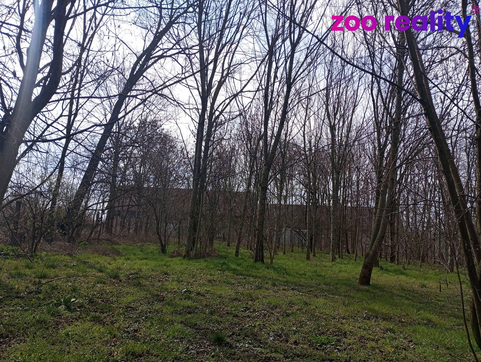 Prodej pozemek Bydlení, 90㎡|Pardubický kraj, Pardubice, Slepotice, 12, 53002