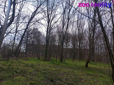 Prodej - pozemek pro bydlení, 4 338 m²